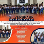 Silver Spark