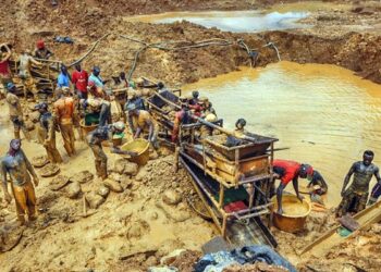 Illegal Miners